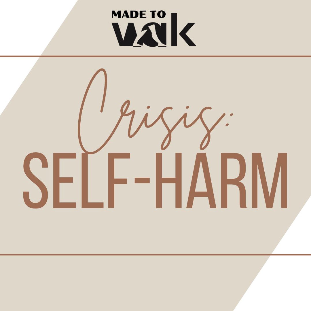 How To Disciple: Self Harm