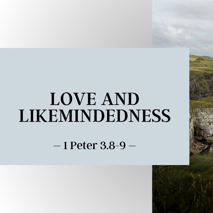 Love and Likemindedness episode artwork
