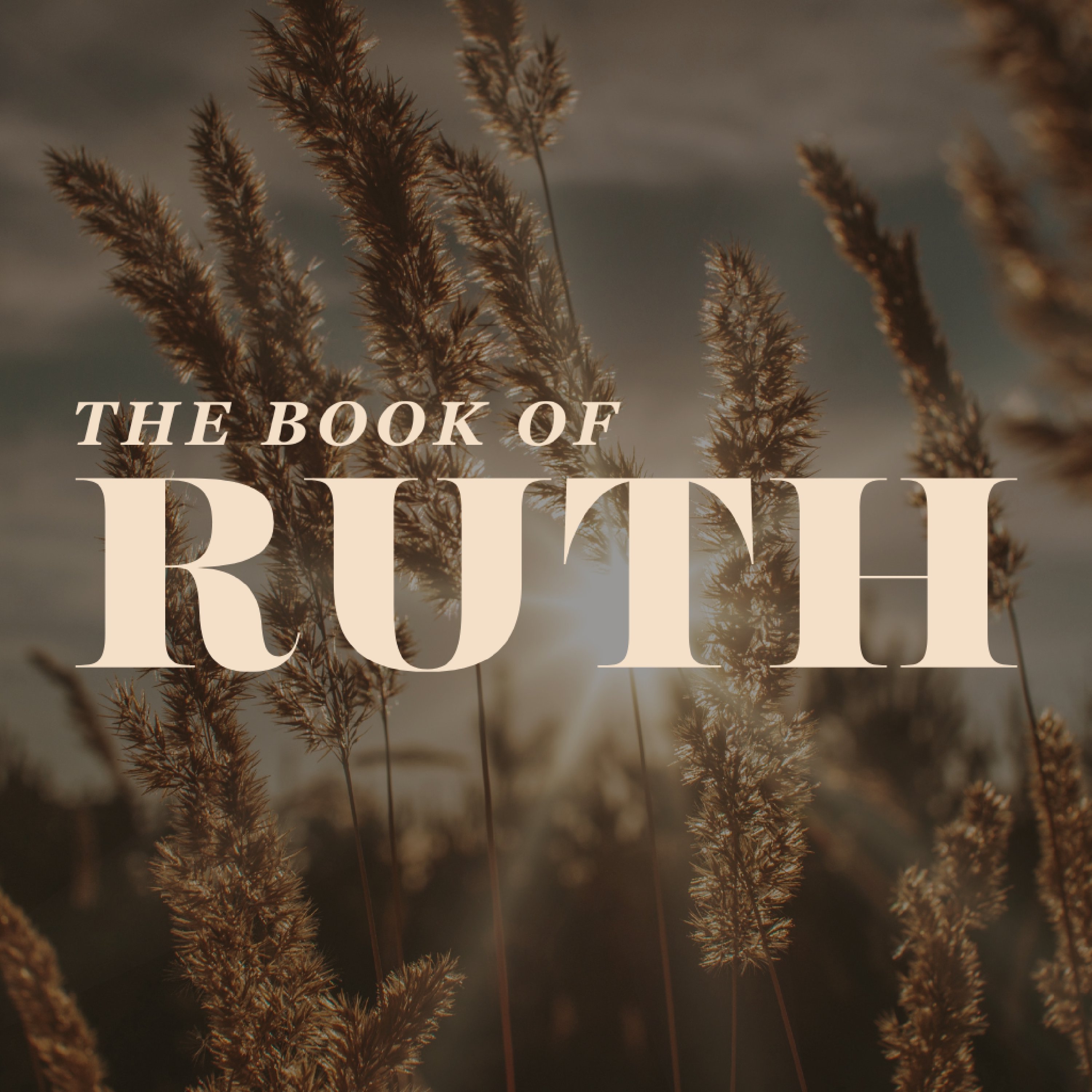 GCCSB: Book of Ruth podcast artwork