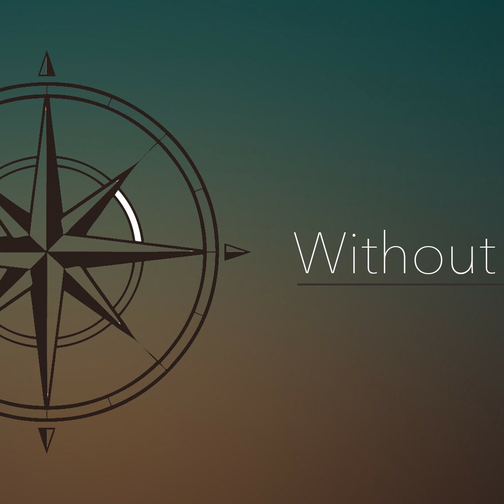 Without a Vision 2020 Without a Vision 2020