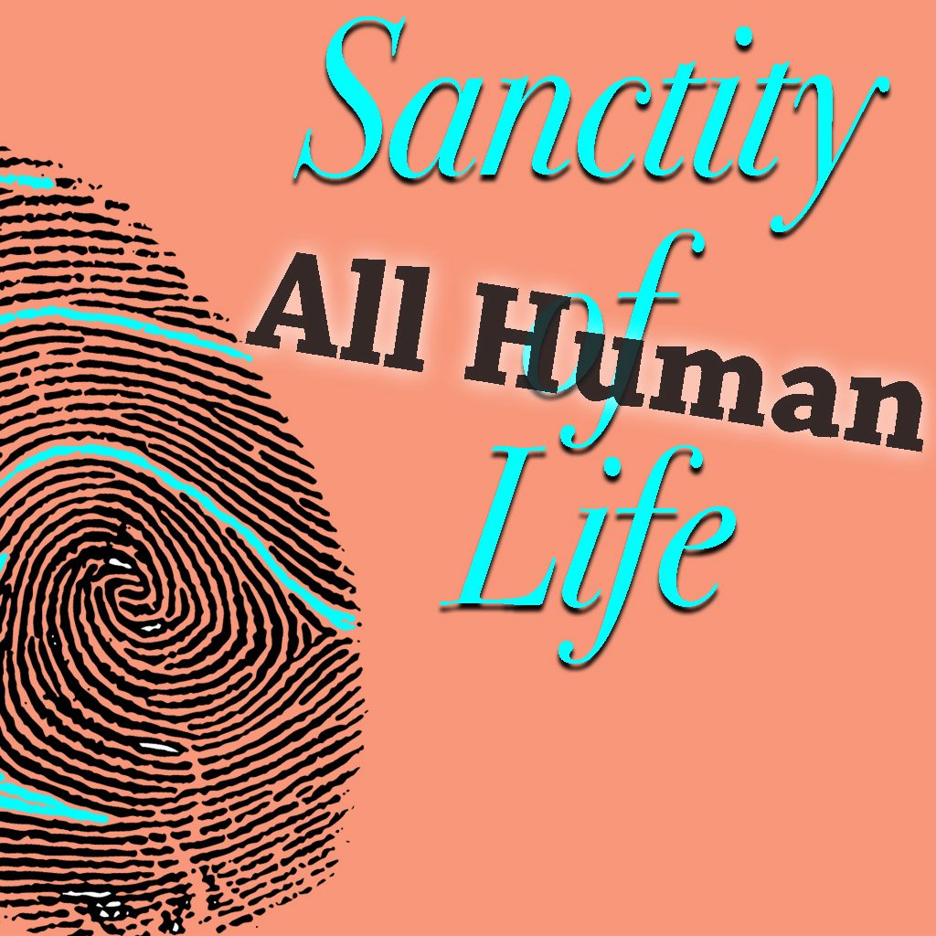 Sanctity of Life episode artwork