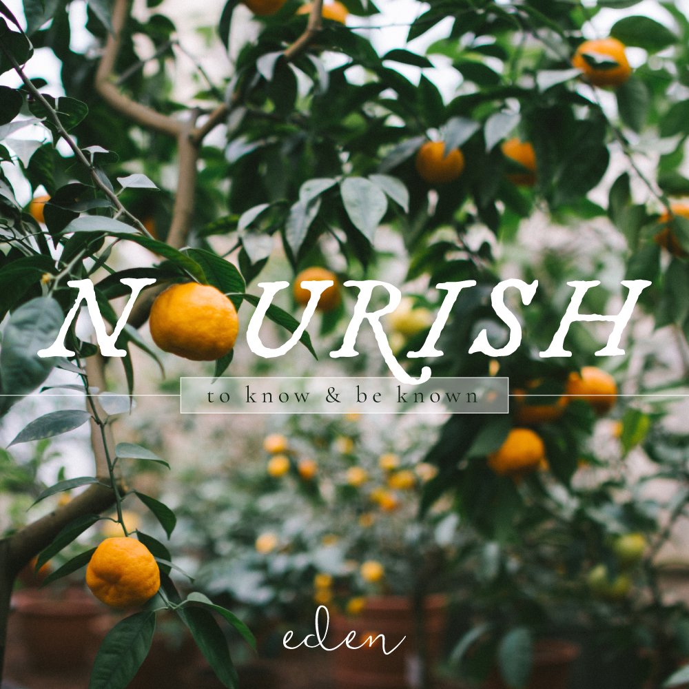 Nourish episode artwork