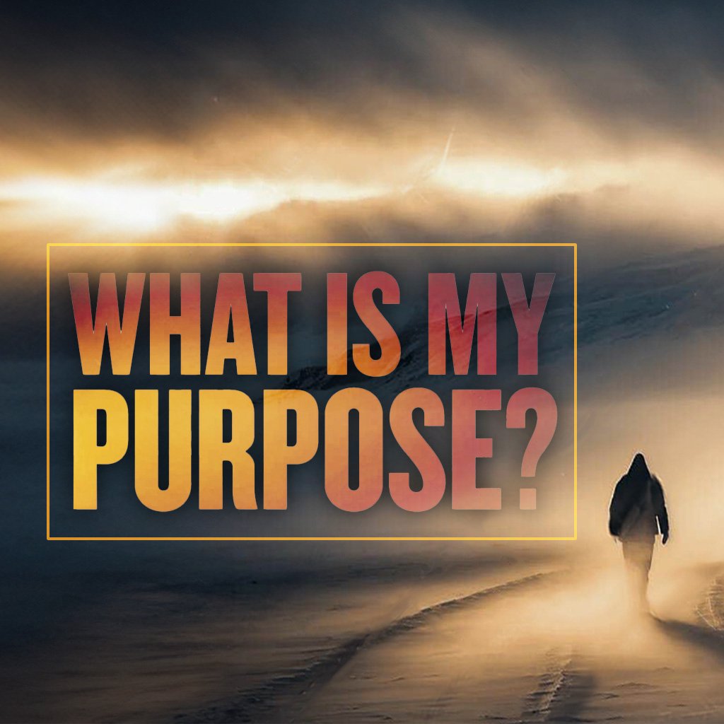 What Is My Purpose? Part 2
