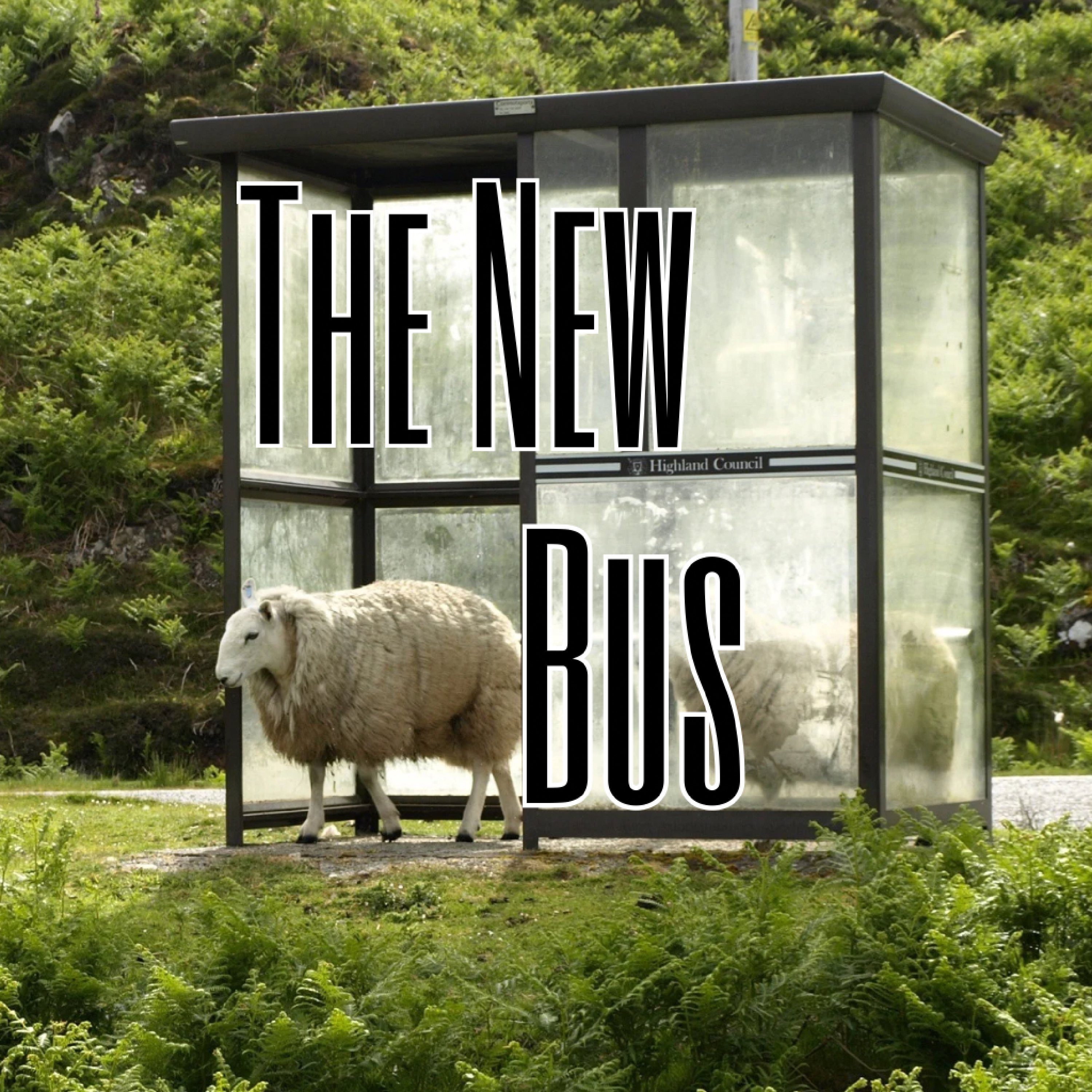 The New Bus Podcast podcast artwork