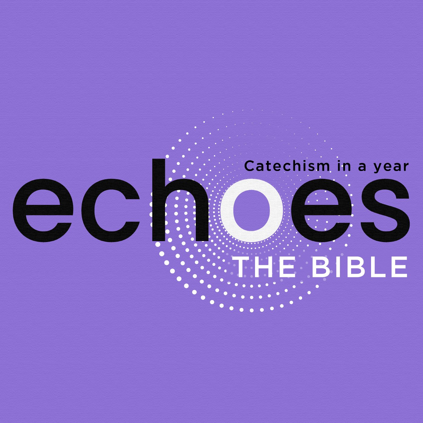 What is the Story of the New Testament? | ECHOES: Catechism in a Year episode artwork