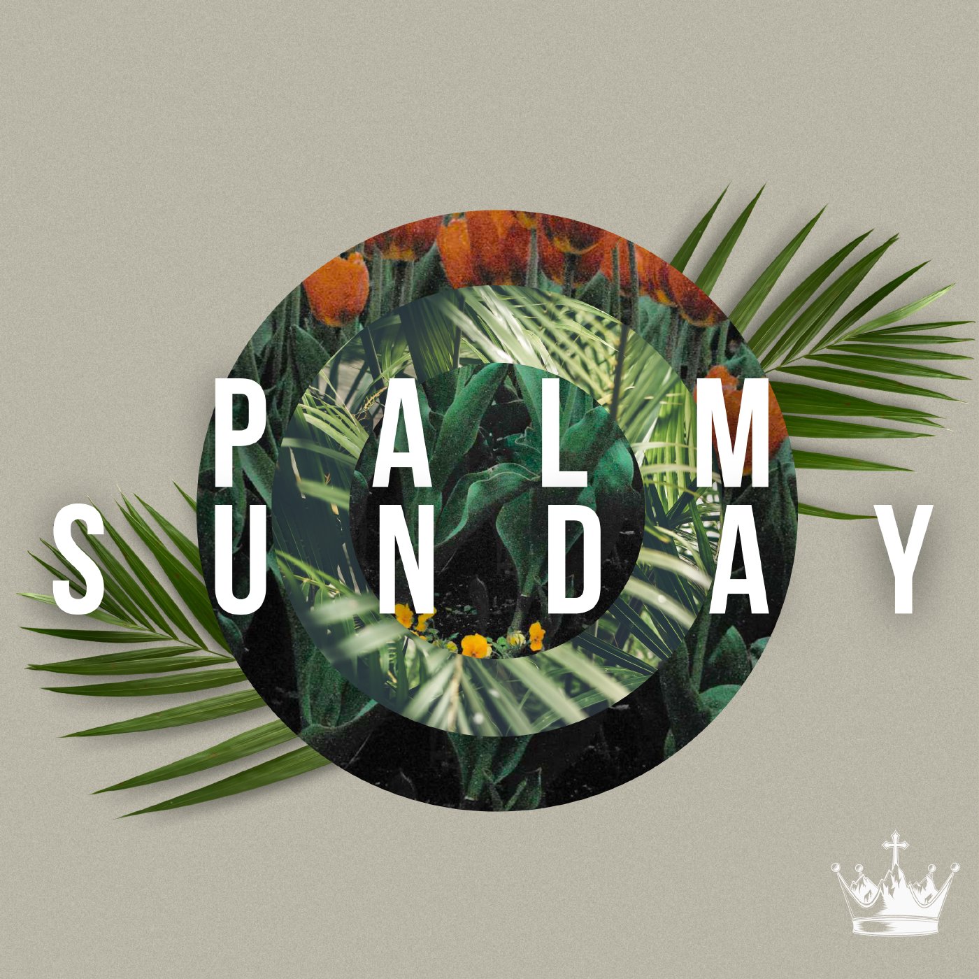 Palm Sunday | Luke 19:28-44 episode artwork