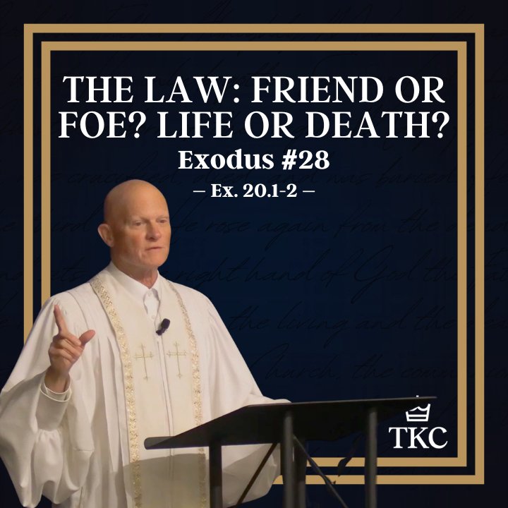 The Law: Friend or Foe? Life or Death? | Exodus #28 episode artwork
