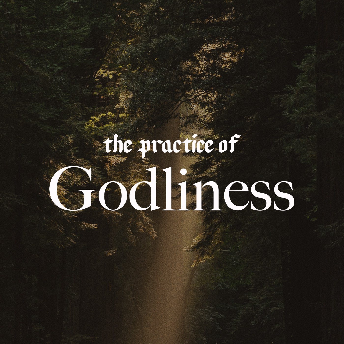 The Practice of Godliness episode artwork