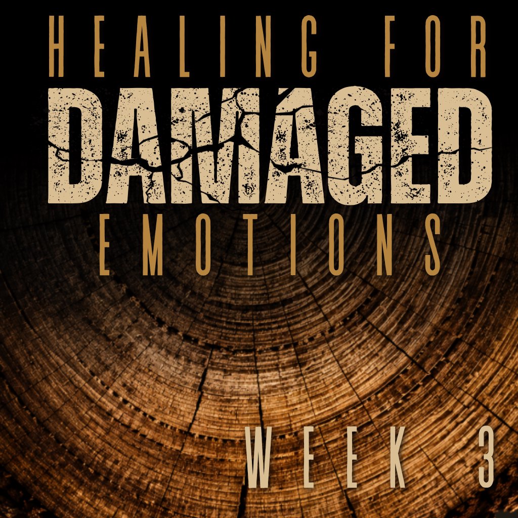 Healing For Damaged Emotions