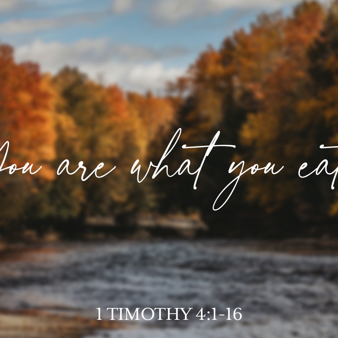 You Are What You Eat! - 1 Timothy 4:1-16 episode artwork