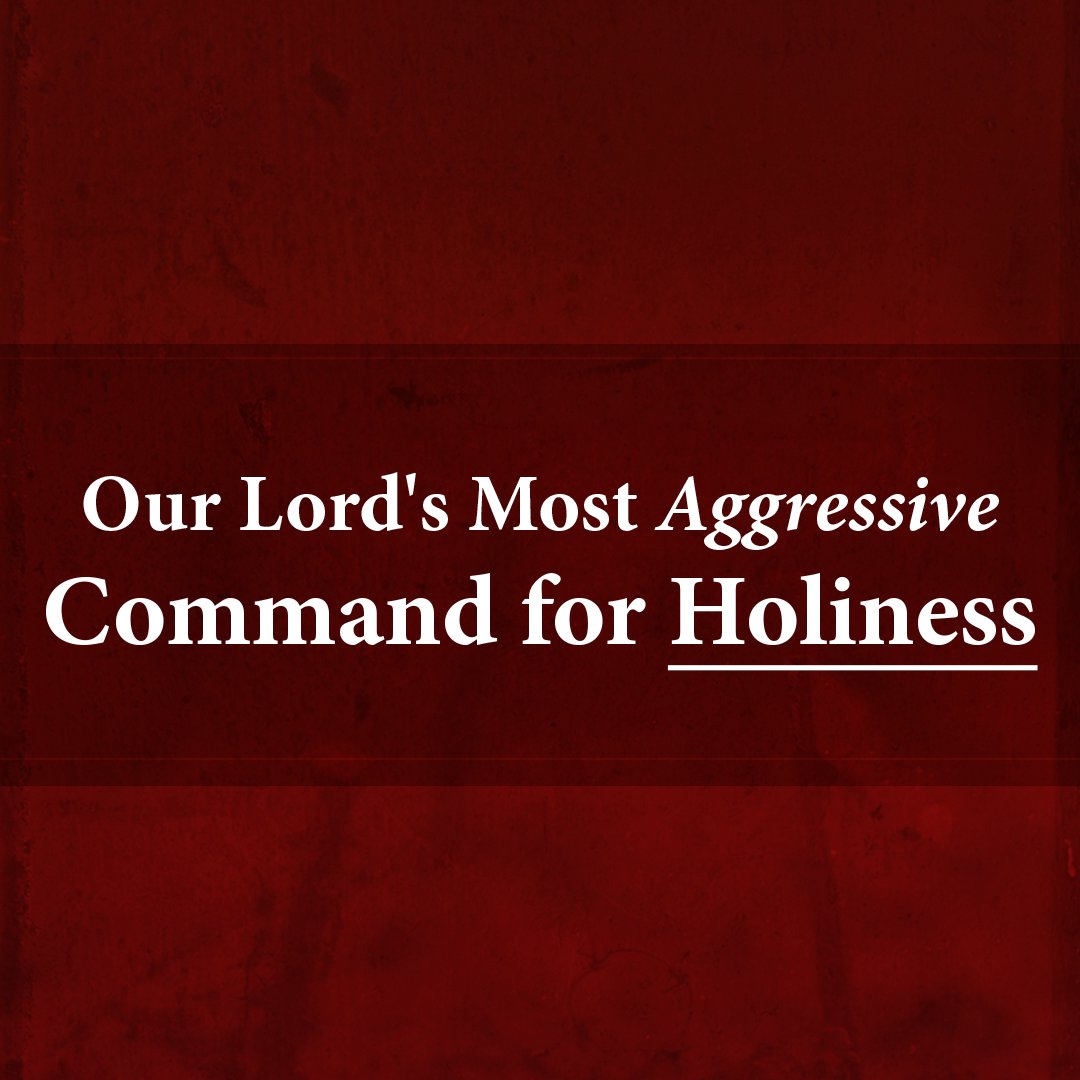 Our Lord's Most Aggressive Command for Holiness episode artwork