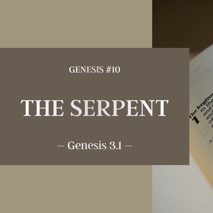 The Serpent | Genesis #10 episode artwork