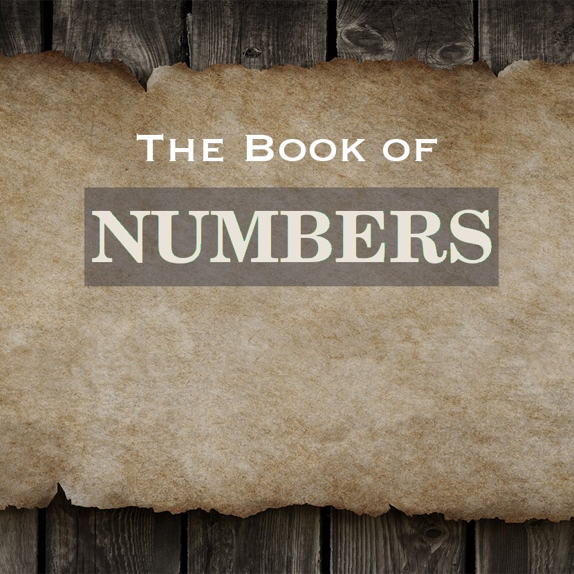 Numbers 25 - September 13, 2009