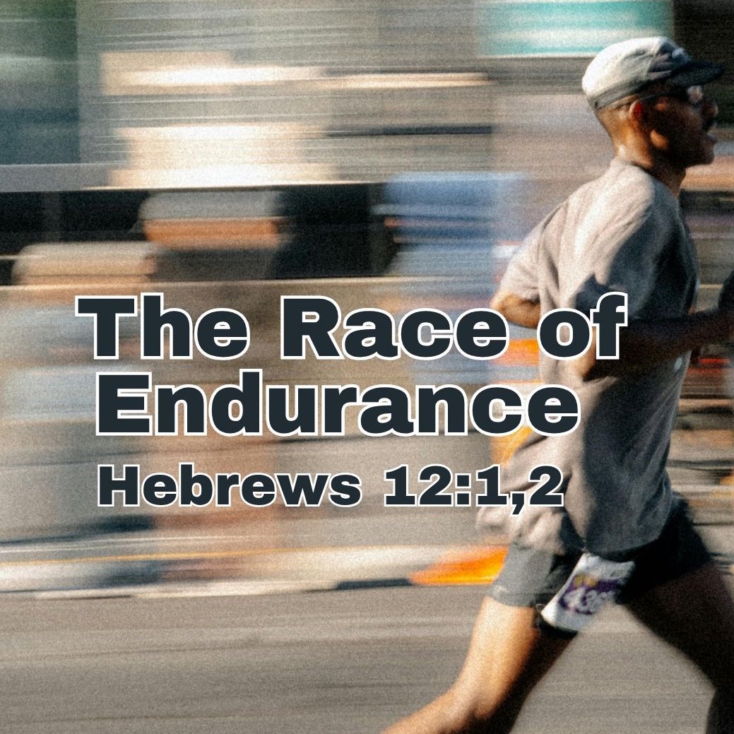 Race of Endurance episode artwork