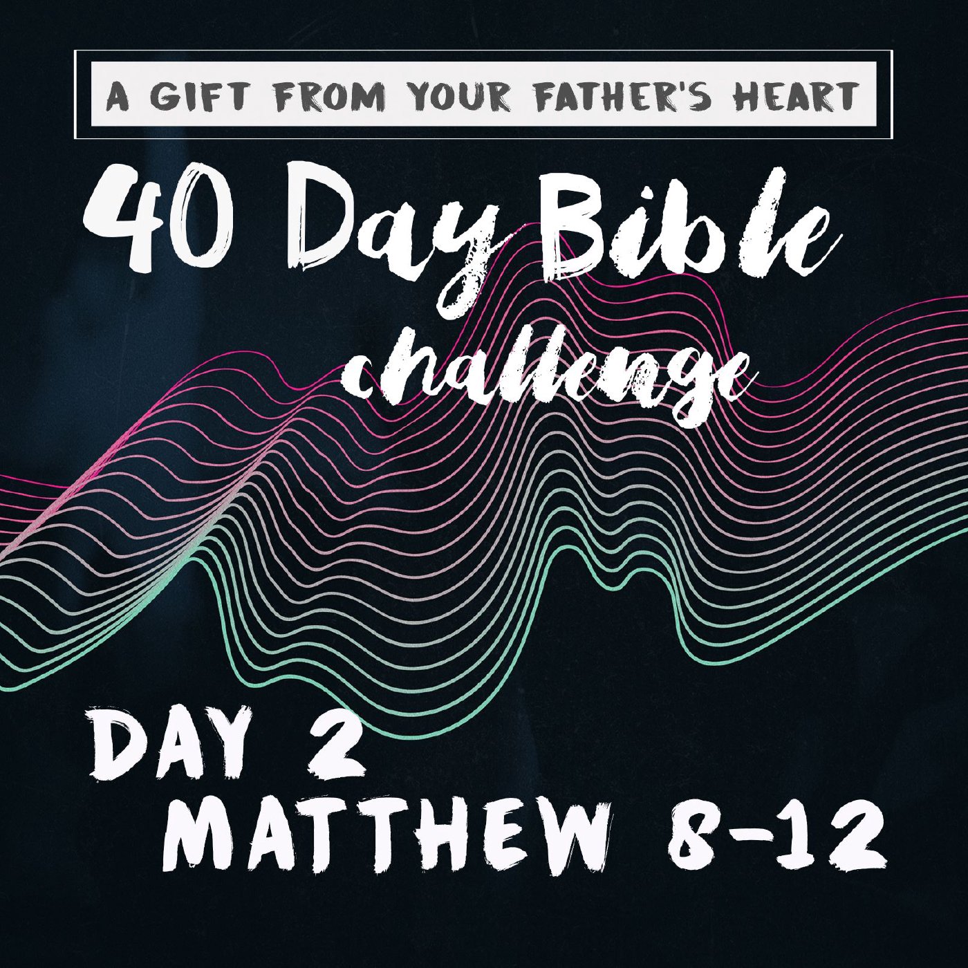 Day 2 - Matthew 8-12 episode artwork