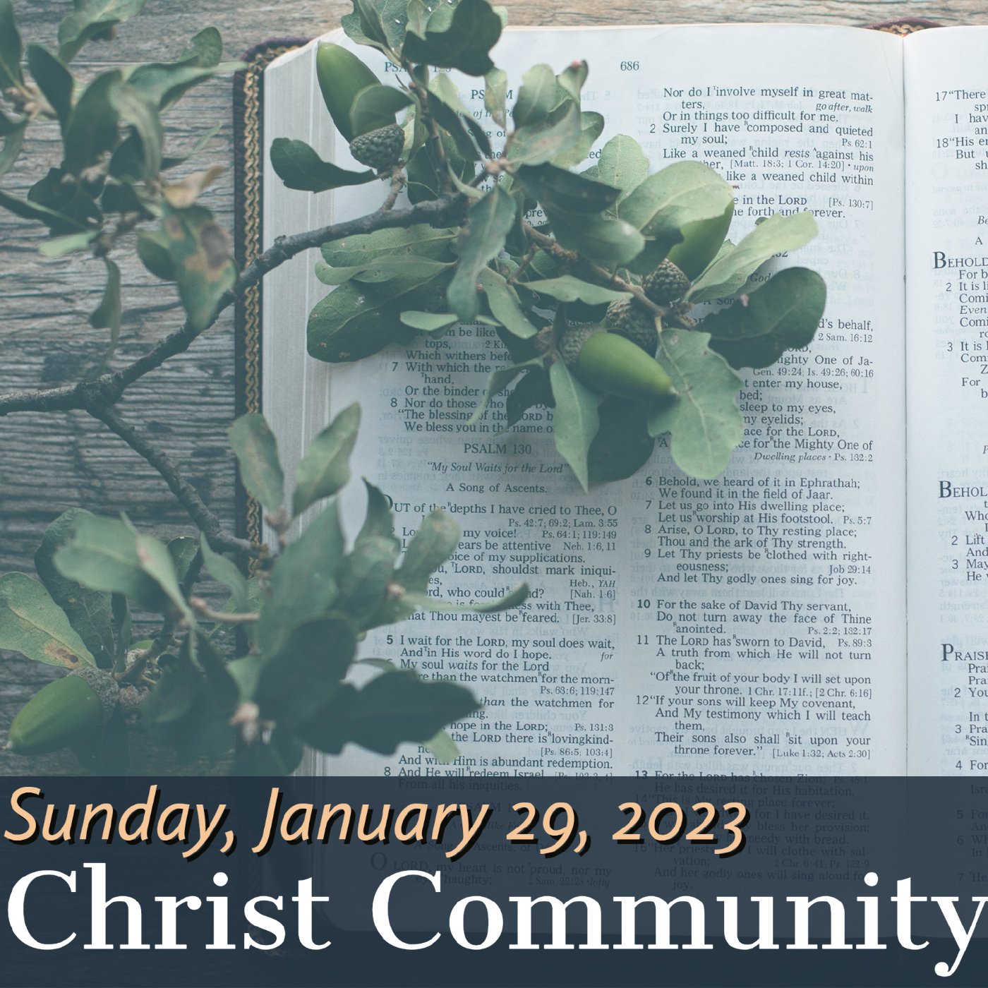 Christ Community Gainesville