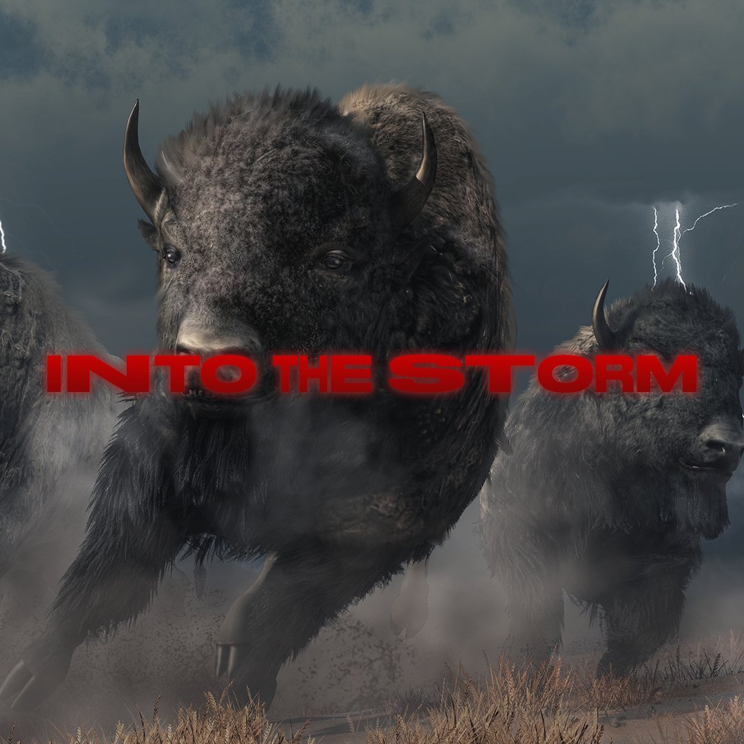 Into The Storm episode artwork