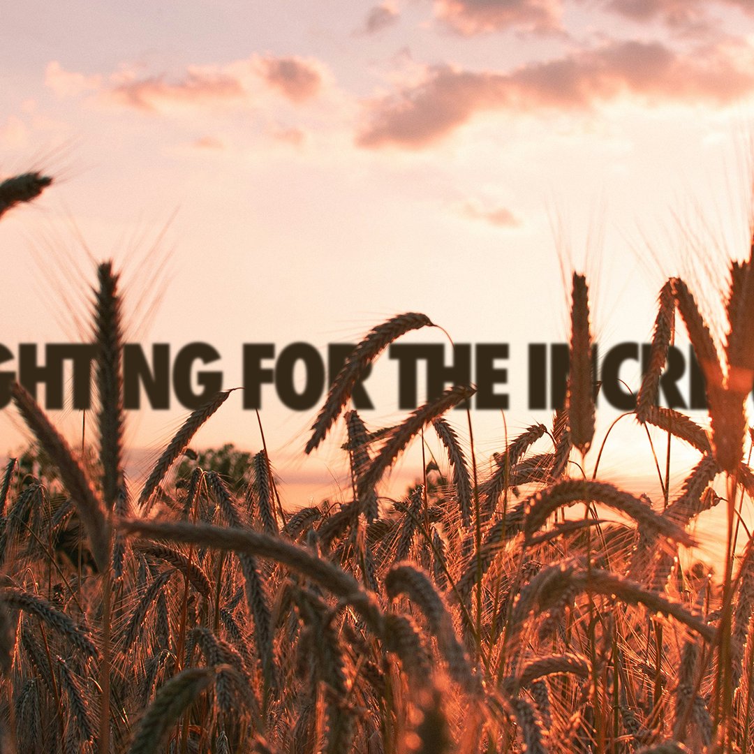 Fighting For The Increase | Seth Moore