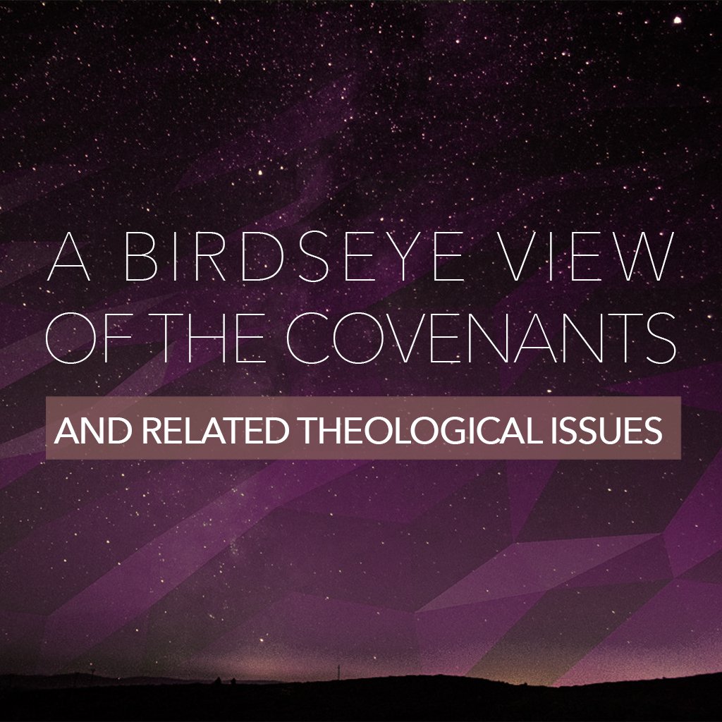 A Birdseye View of the Covenants and Related Theological Issues