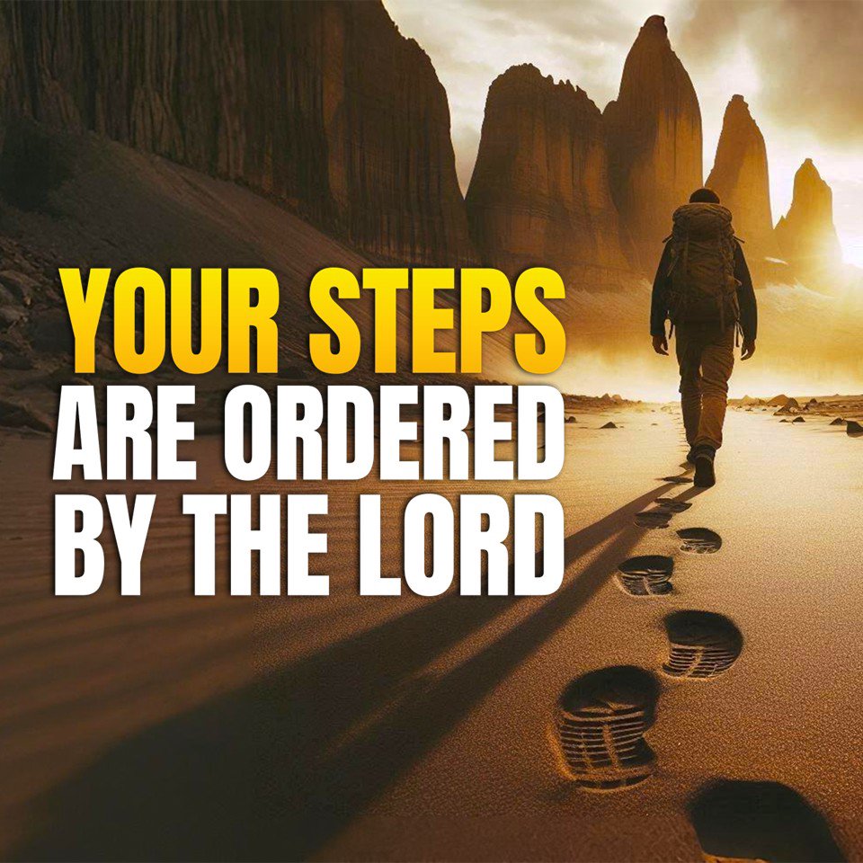 Your Steps Are Ordered By the Lord