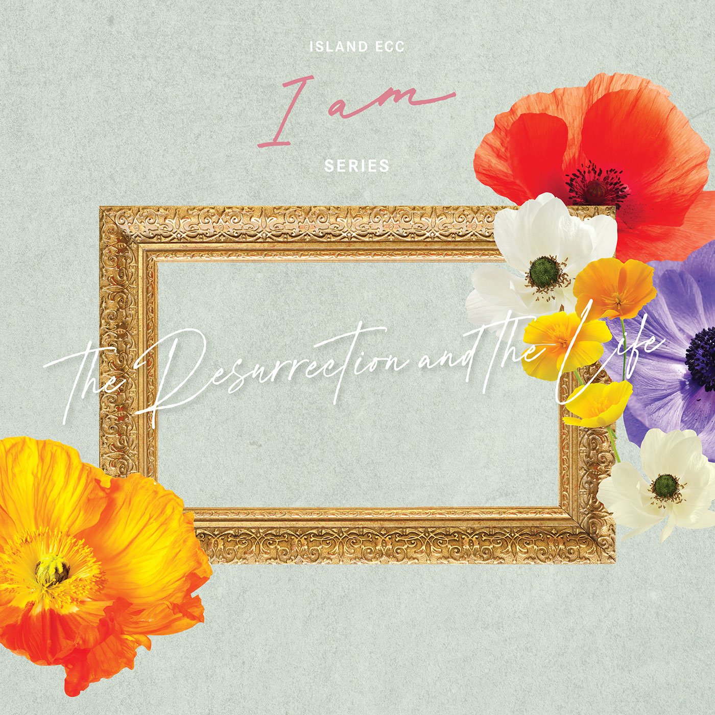 I AM: The Resurrection and the Life episode artwork