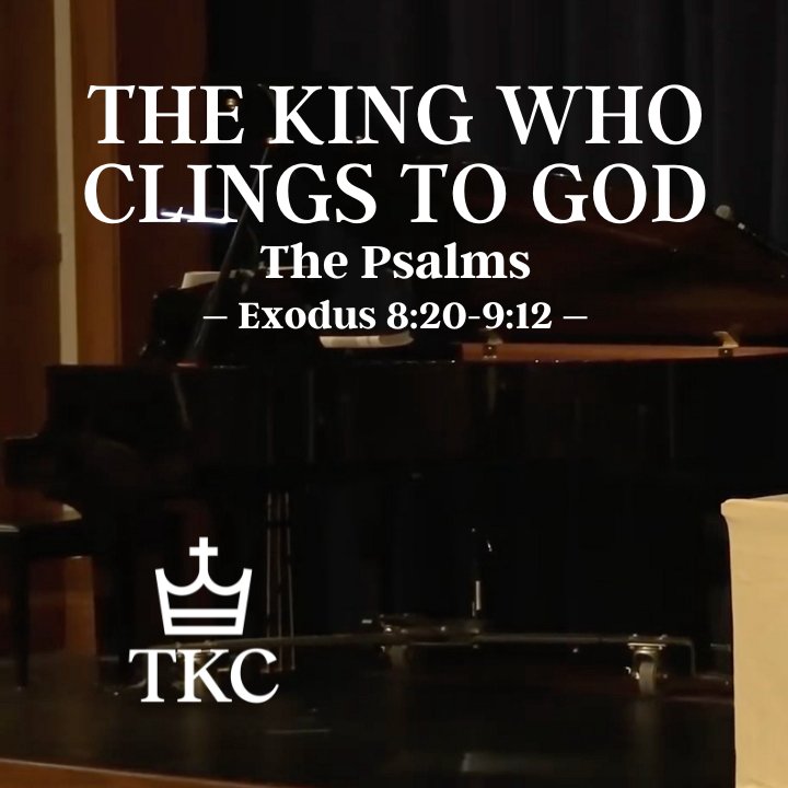 The King Who Clings to God | The Psalms episode artwork
