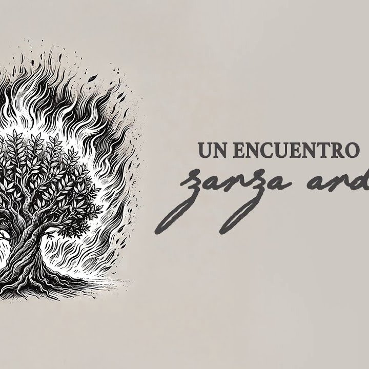 Rompiendo Fronteras