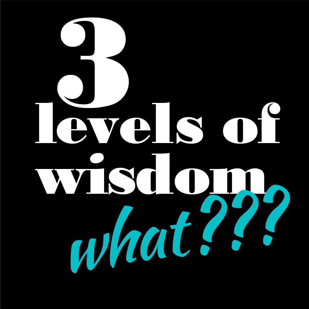 3 Levels of Wisdom - What???