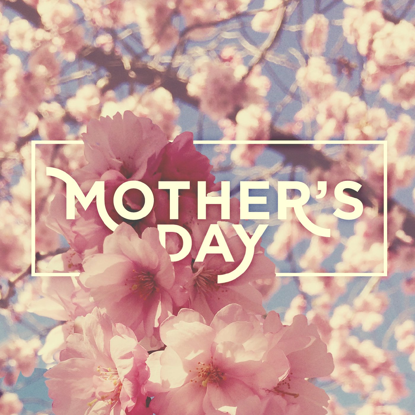 Mother's Day 2015 episode artwork