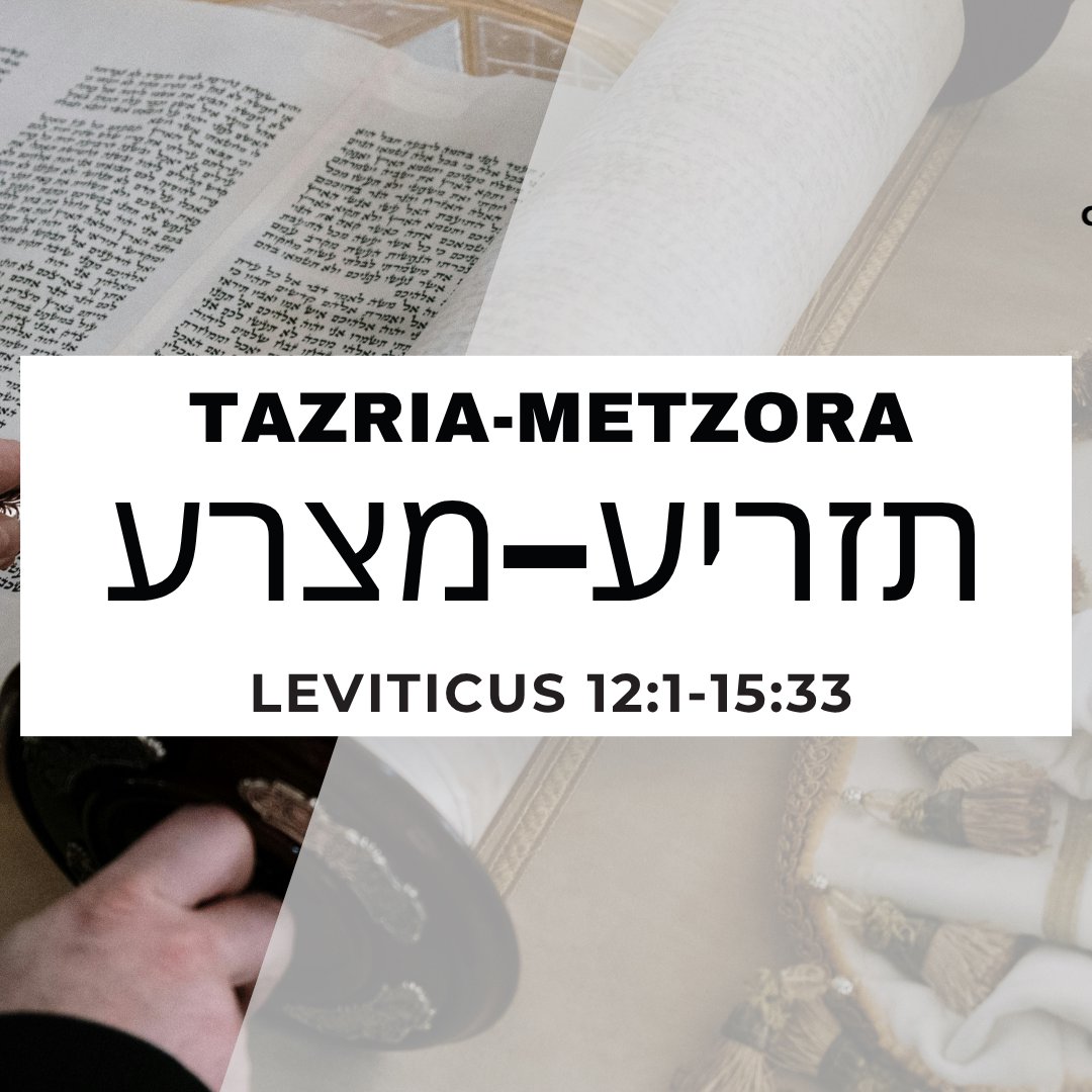 CMC Parasha Tazria Metzora 5786