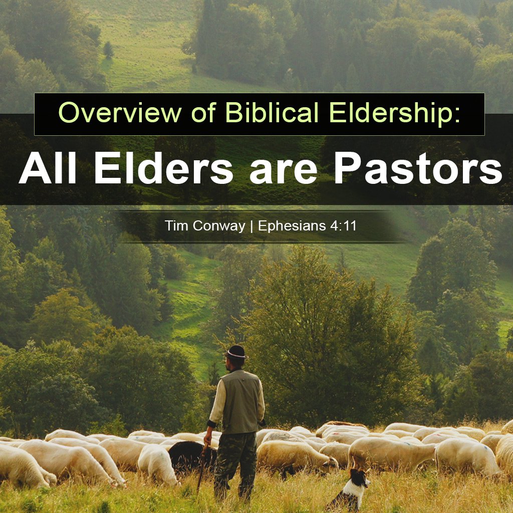 Overview of Biblical Eldership: All Elders are Pastors episode artwork
