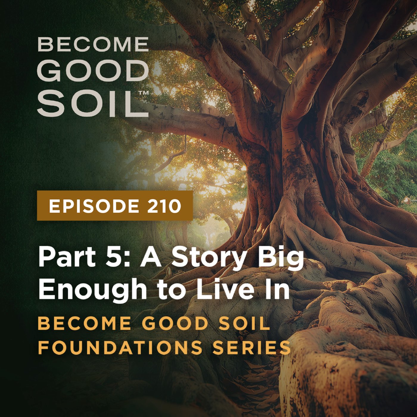 210: A Story Big Enough to Live In – Become Good Soil Foundations Series (Part 5)