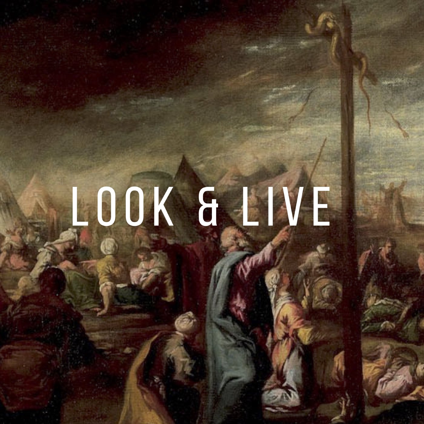 Look & Live! episode artwork