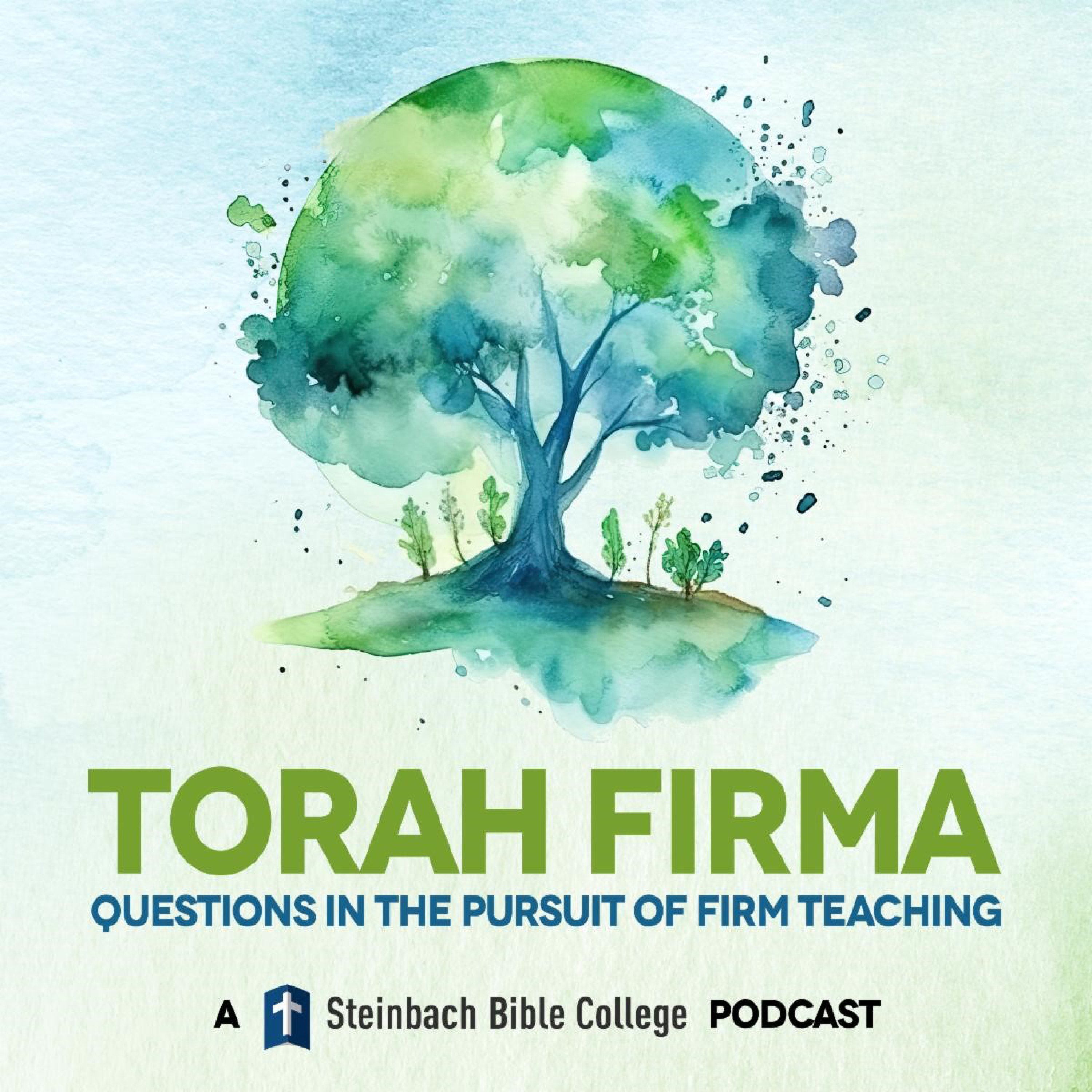Torah Firma Artwork
