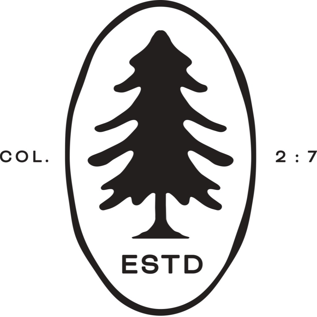 Established - Episode 1 episode artwork