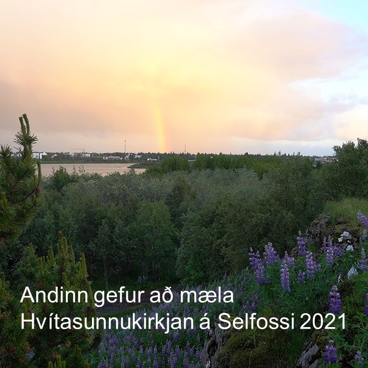 Selfossgospel