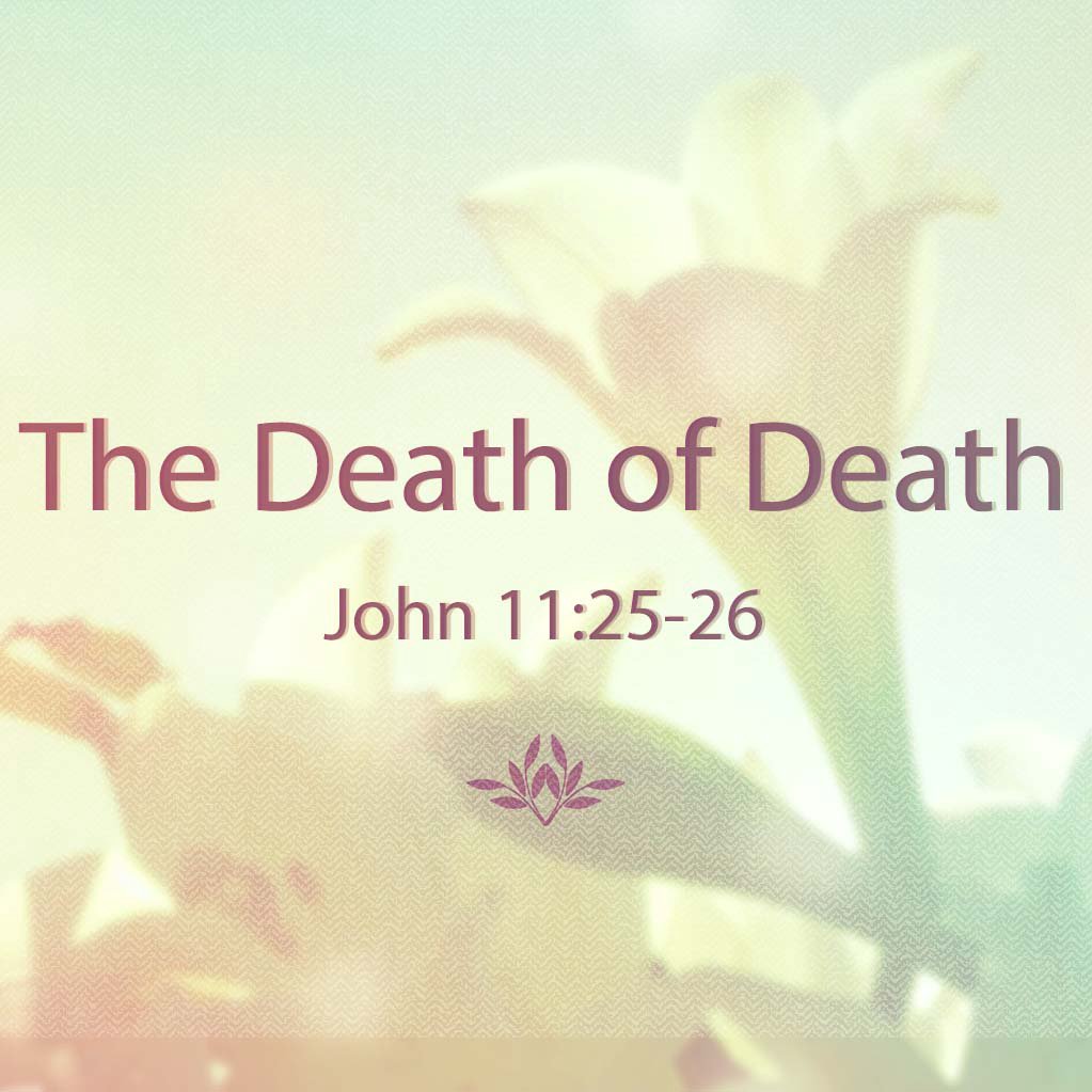 The Death of Death episode artwork