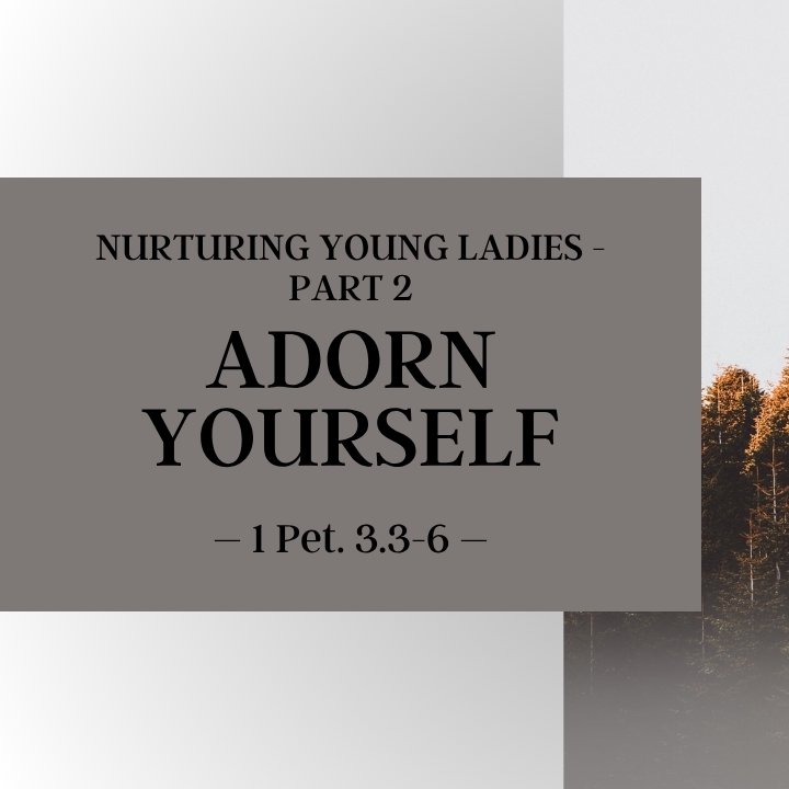 Adorn Yourself | Nurturing Young Ladies - Part 2 episode artwork