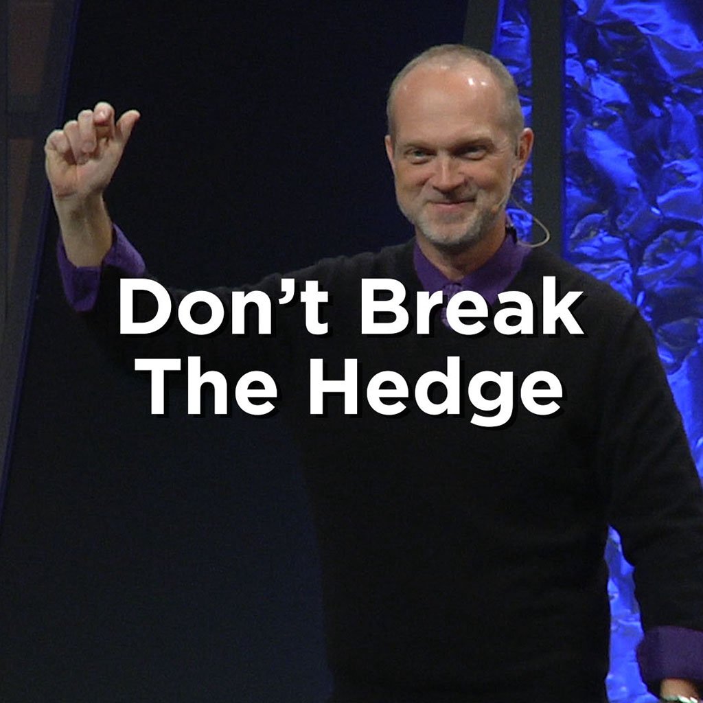 Don't Break The Hedge episode artwork