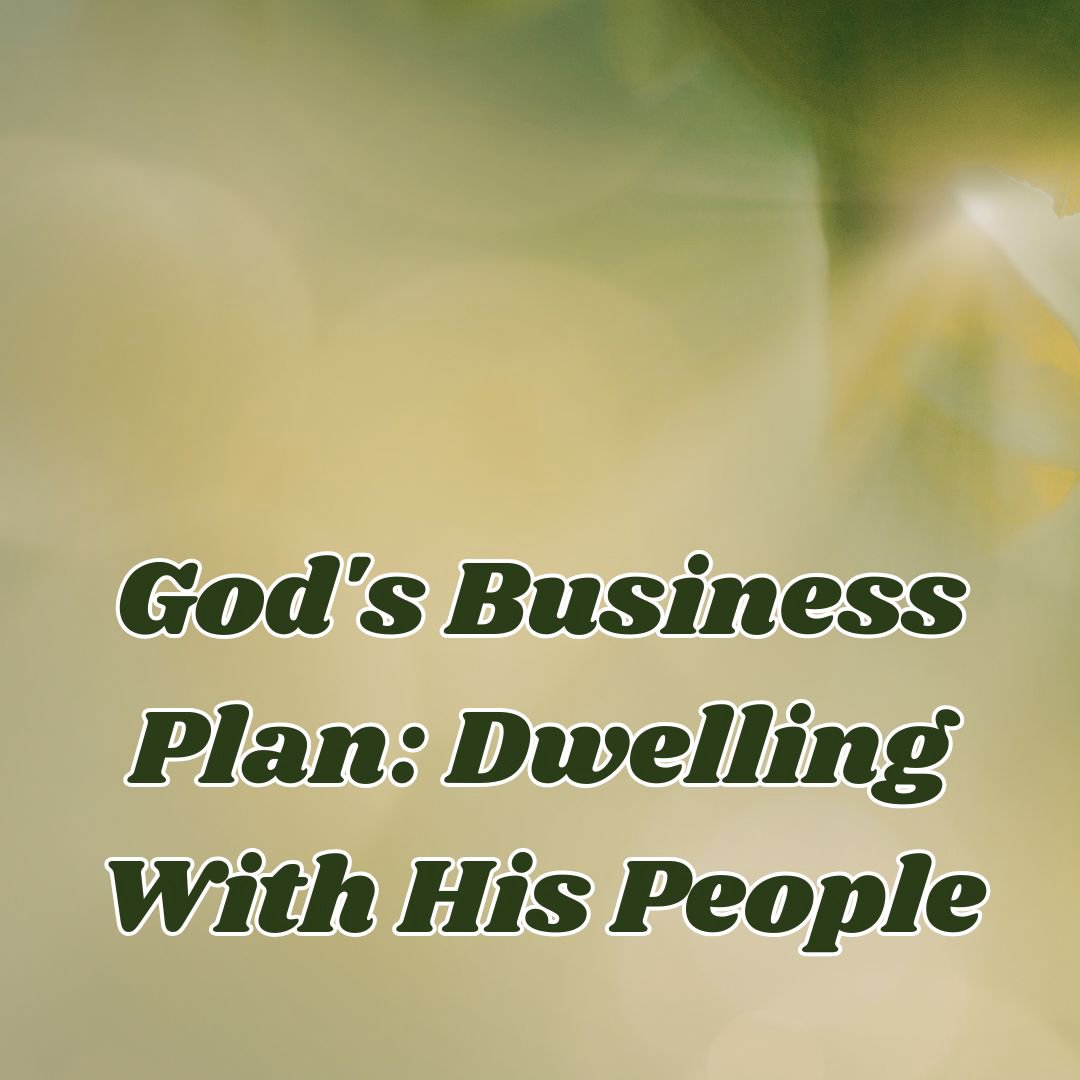 God's Business Plan: Dwelling With His People episode artwork