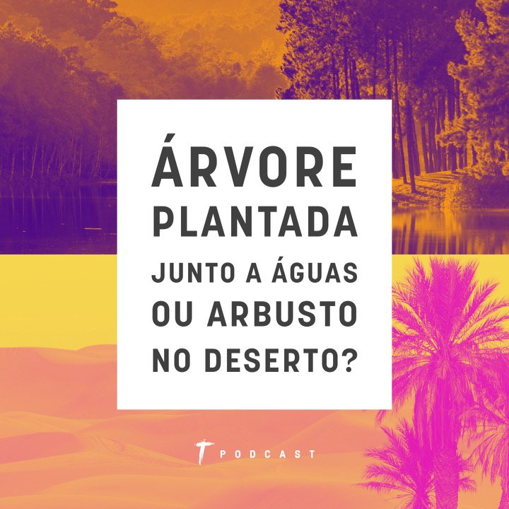 Árvore plantada junto à águas ou arbusto no deserto? episode artwork