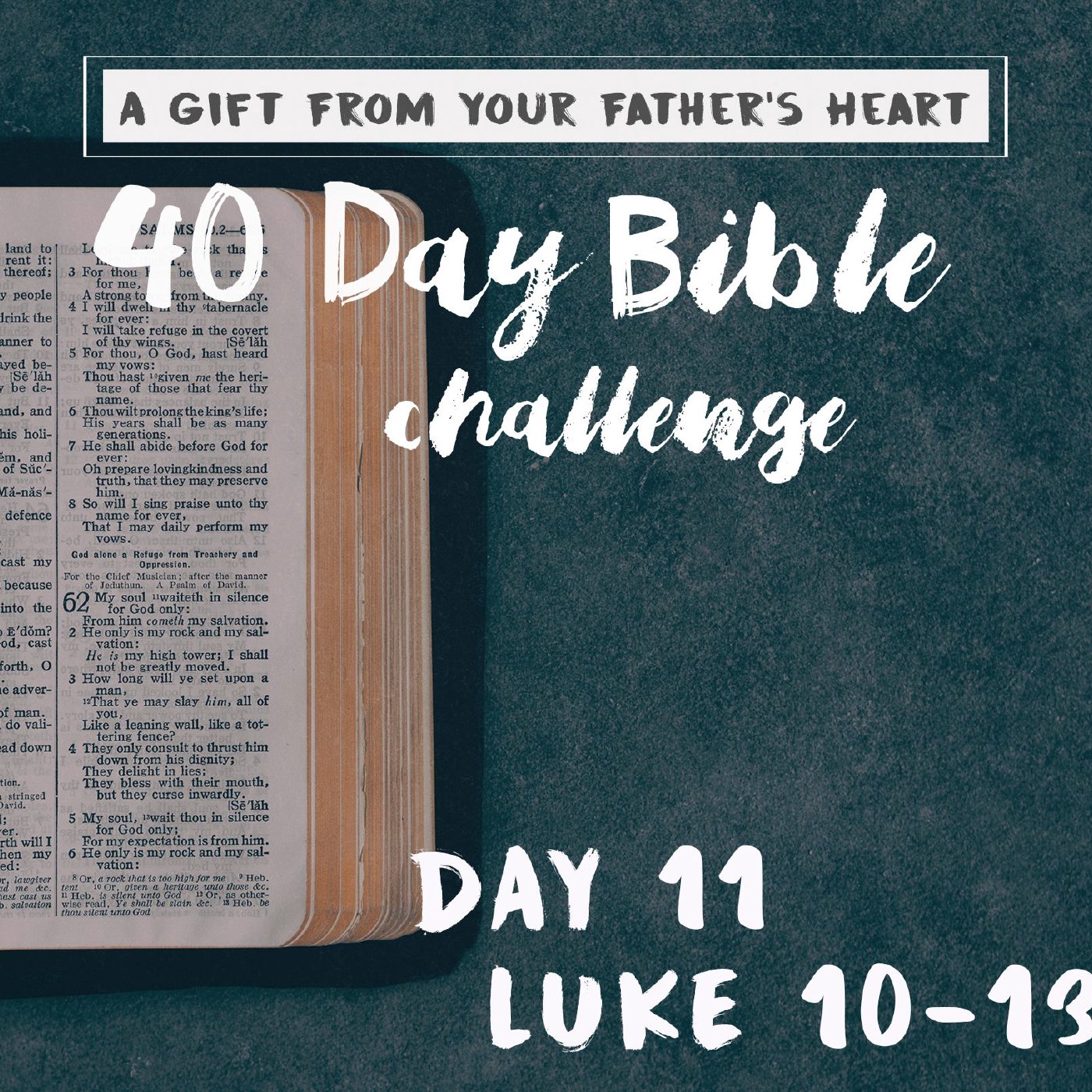 Day 11 - Luke 10-13 episode artwork