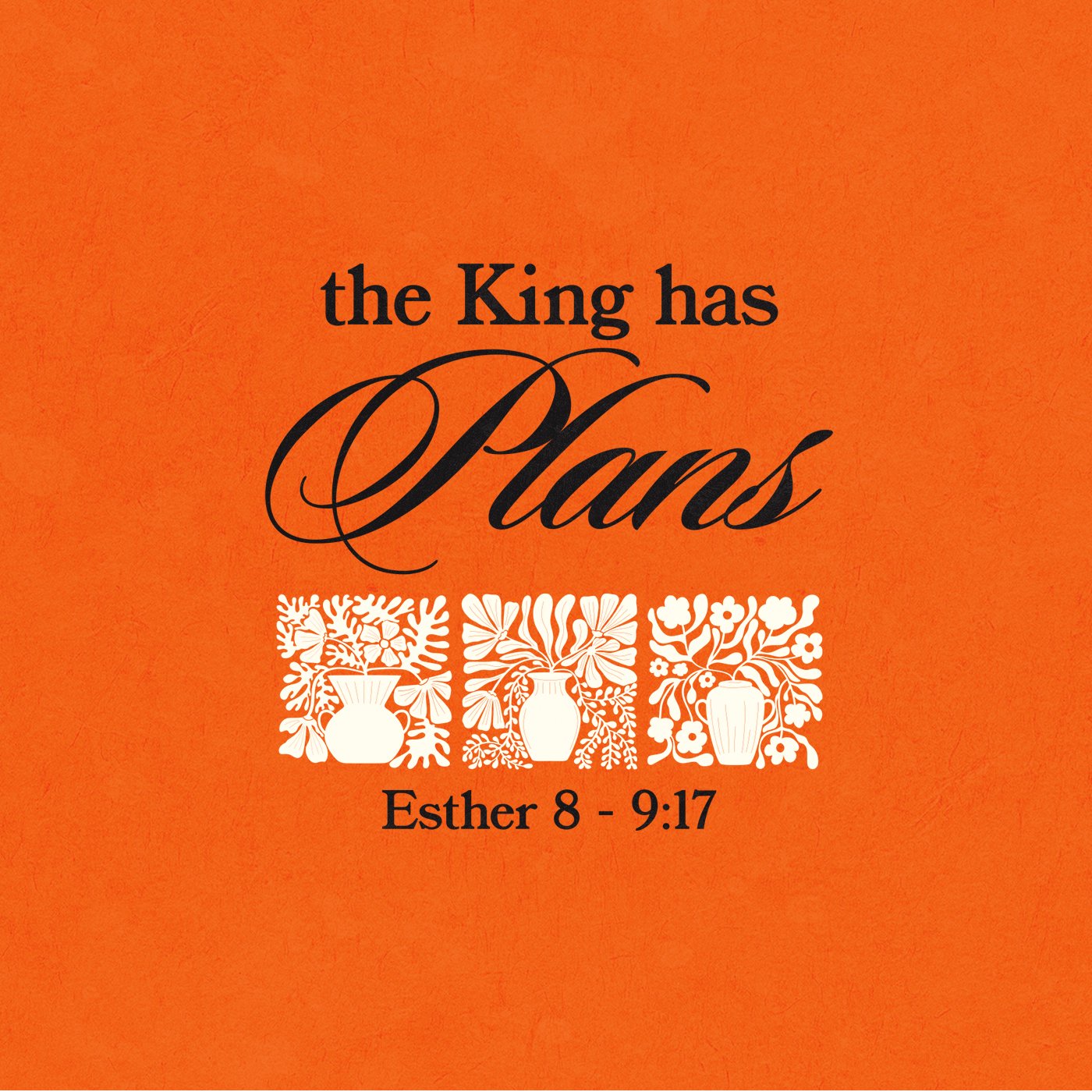The King Has Plan's