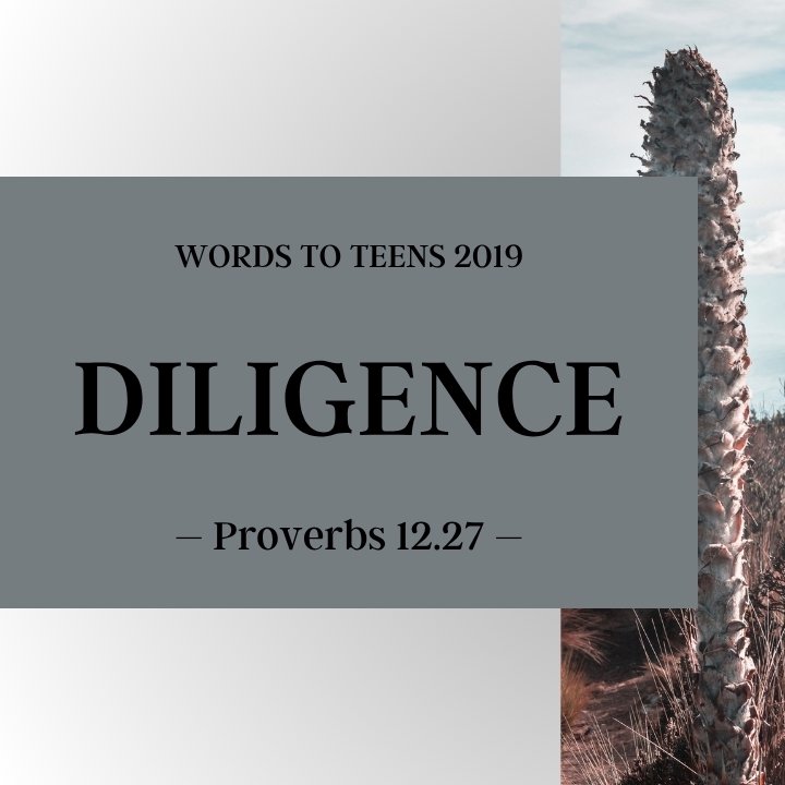 Diligence | Words to Teens 2019 episode artwork