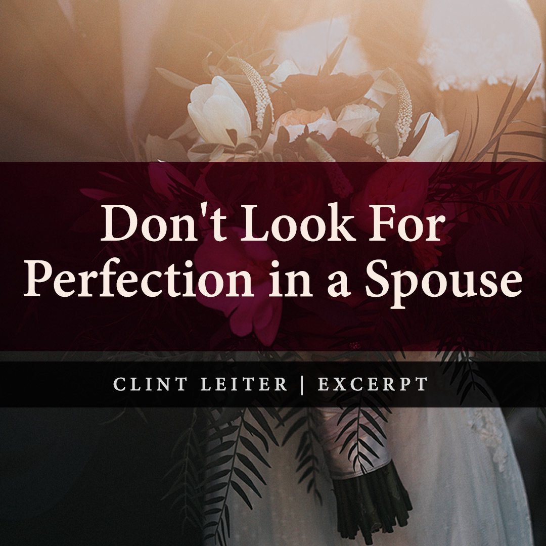 Don't Look for Perfection in a Spouse episode artwork