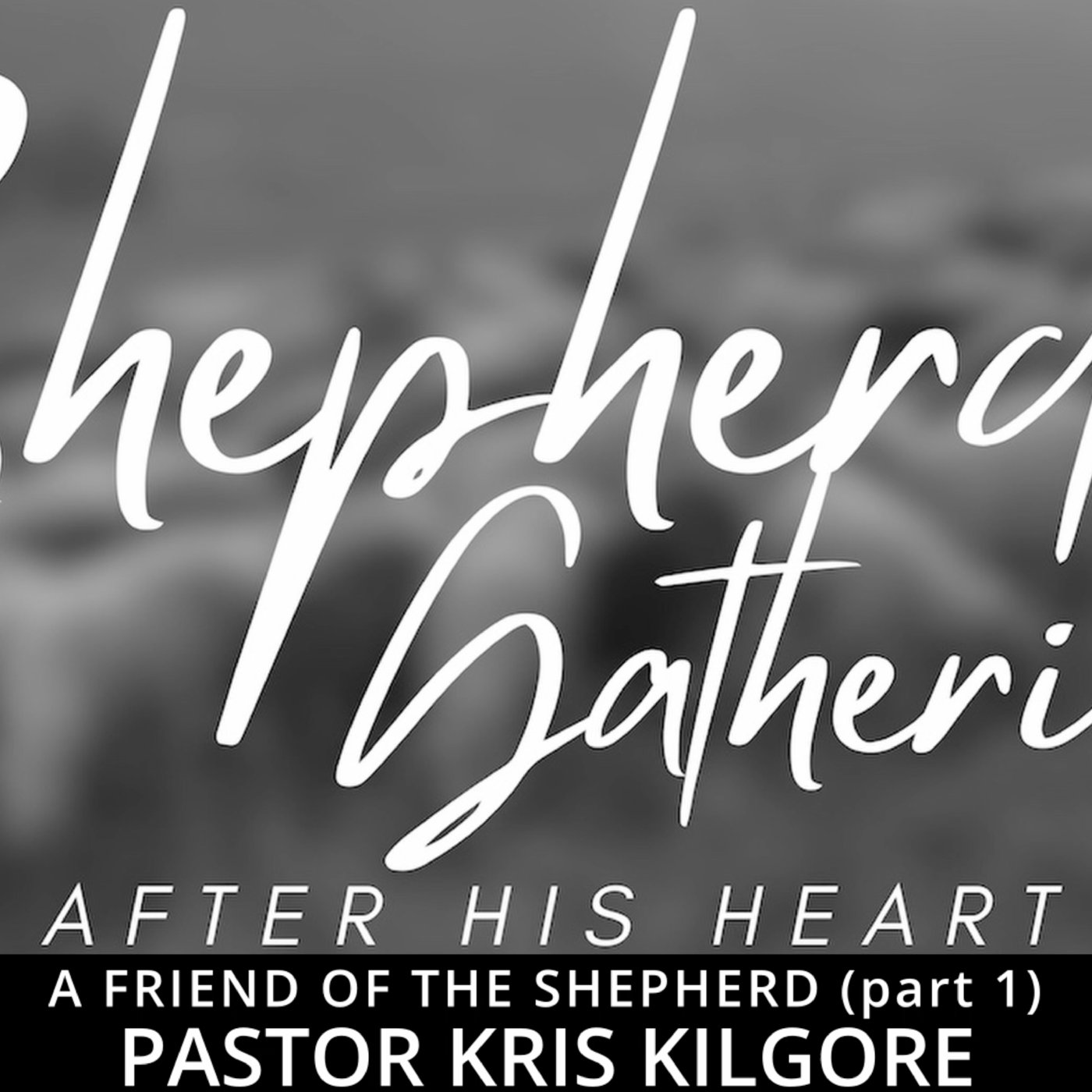 A Friend of the Shepherd (part 1) episode artwork