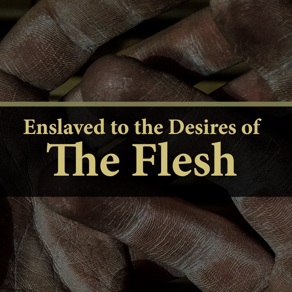 Enslaved to the Desires of The Flesh (Part 4) episode artwork