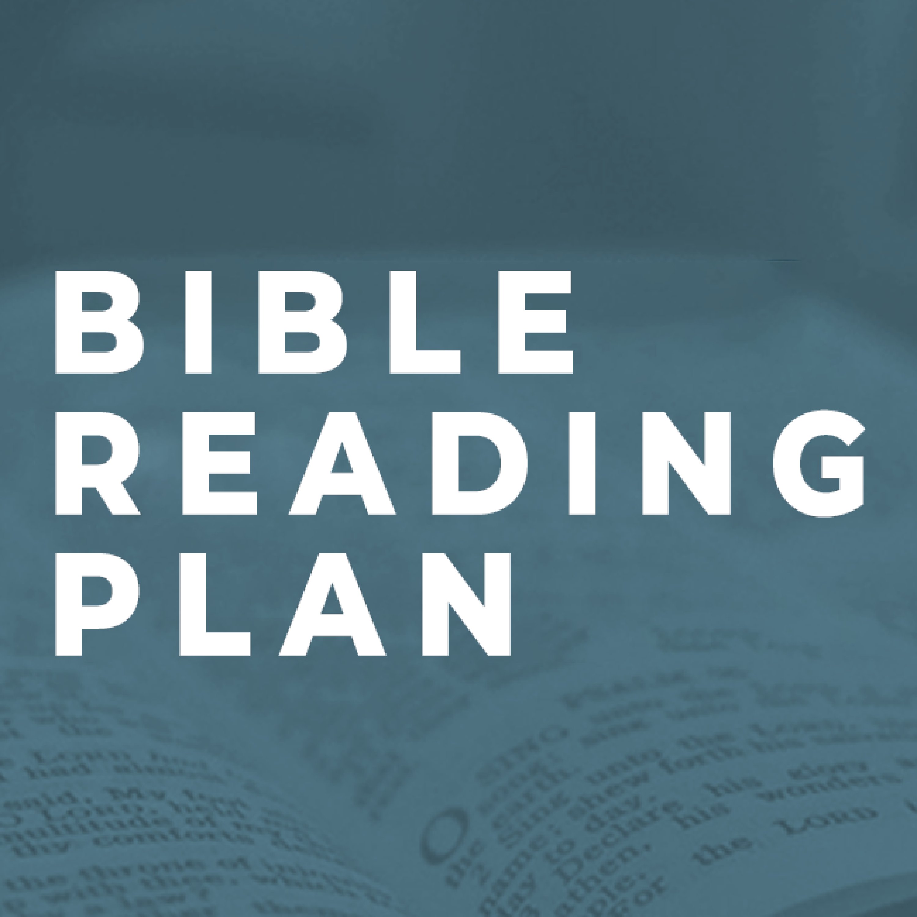 Bible Reading Plan