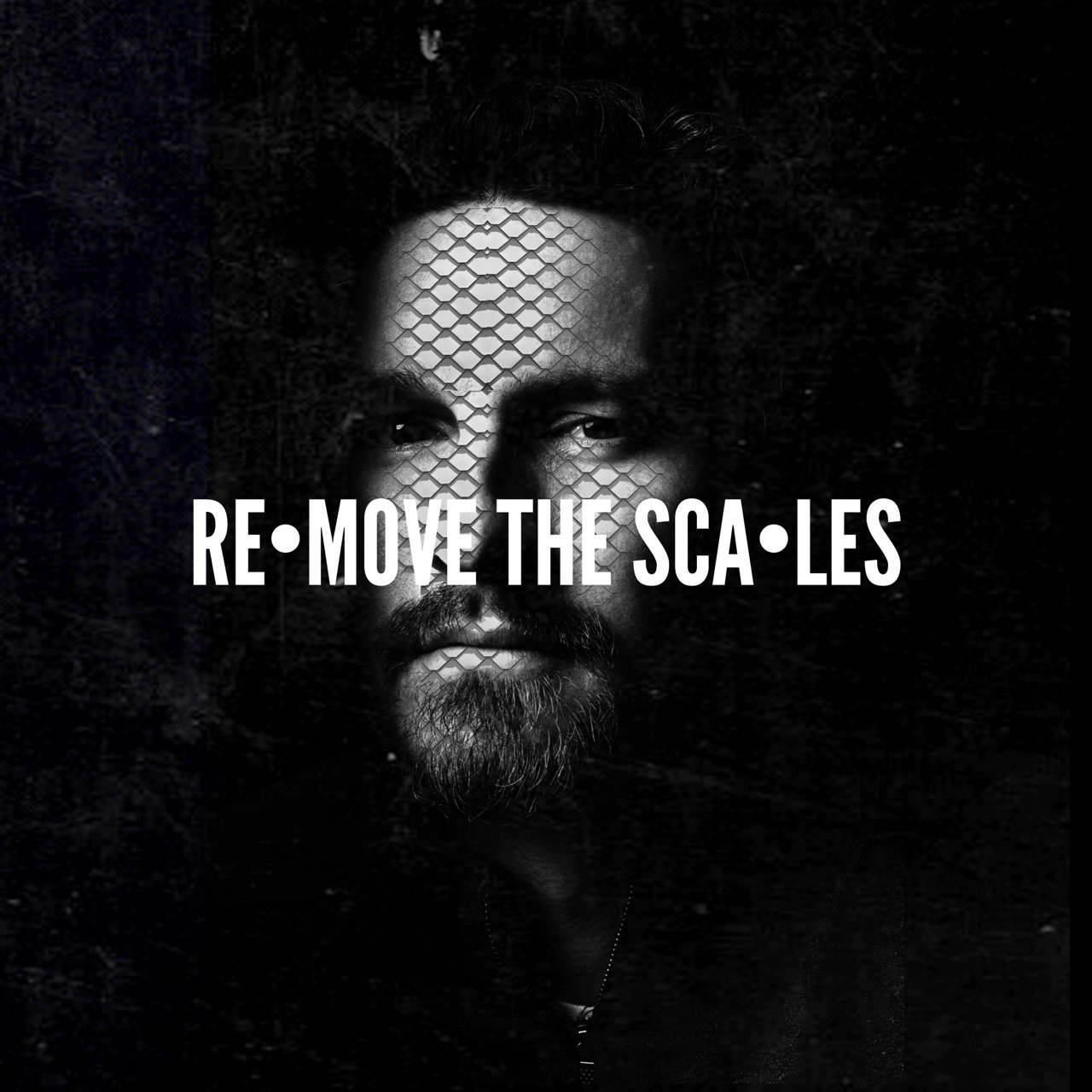 Remove the Scales episode artwork
