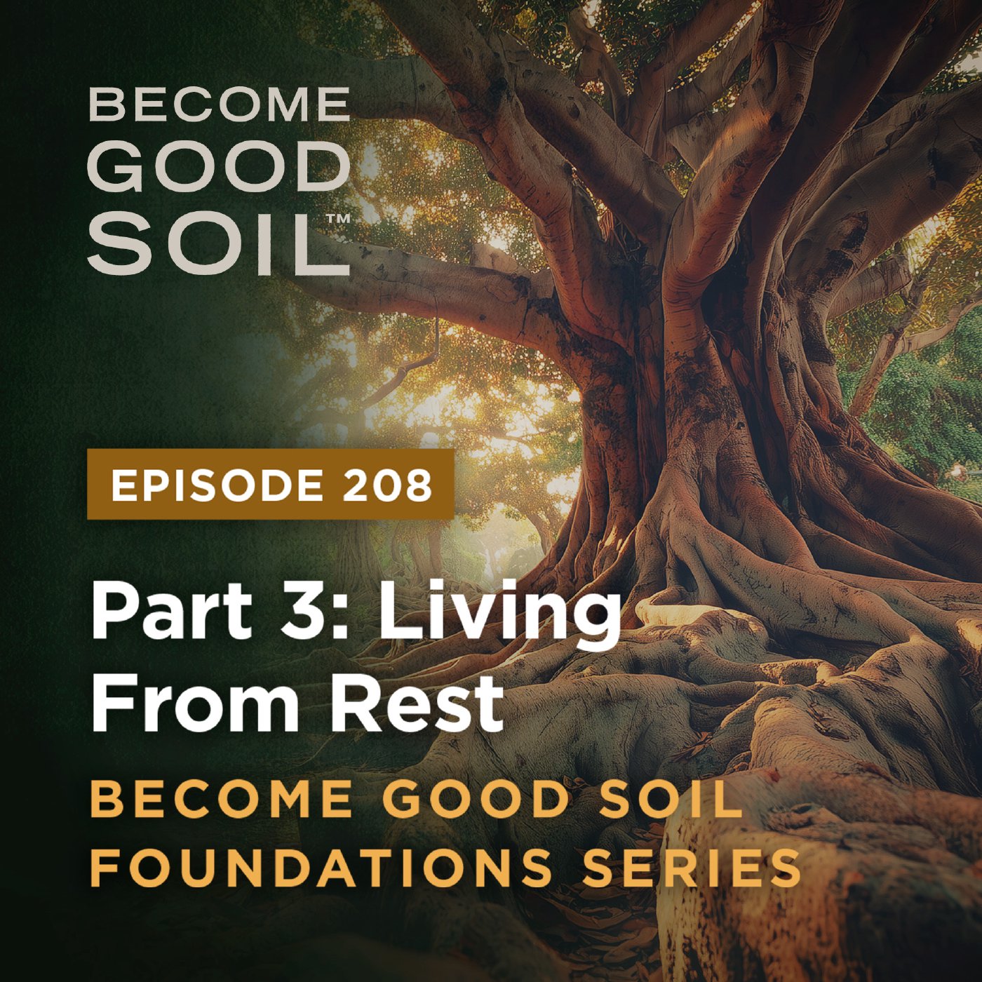 208: Living From Rest – Become Good Soil Foundations Series (Part 3)
